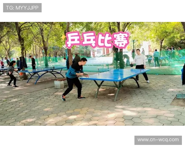 湖北孝感槐荫公园乒乓球区每晚爆满，成跨年龄社交平台