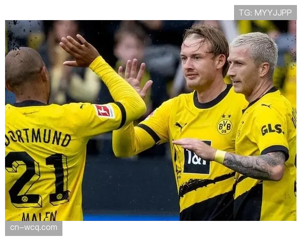 勒沃库森1-2多特蒙德,科法内替补破门难救主 勒沃库森1-2多特蒙德,科法内替补破门难救主