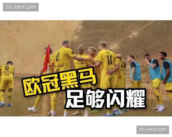 独家专访：博洛尼亚队长谈球队黑马之旅与欧冠梦想