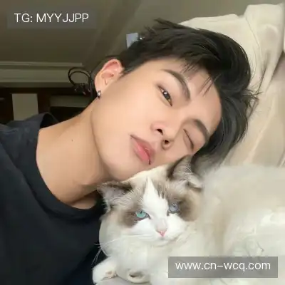 毕德菲